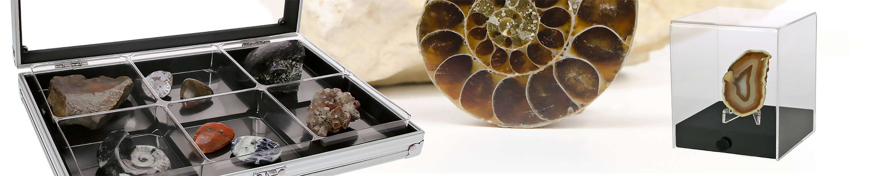 Amazon.com: SAFE: Rocks & Seashells