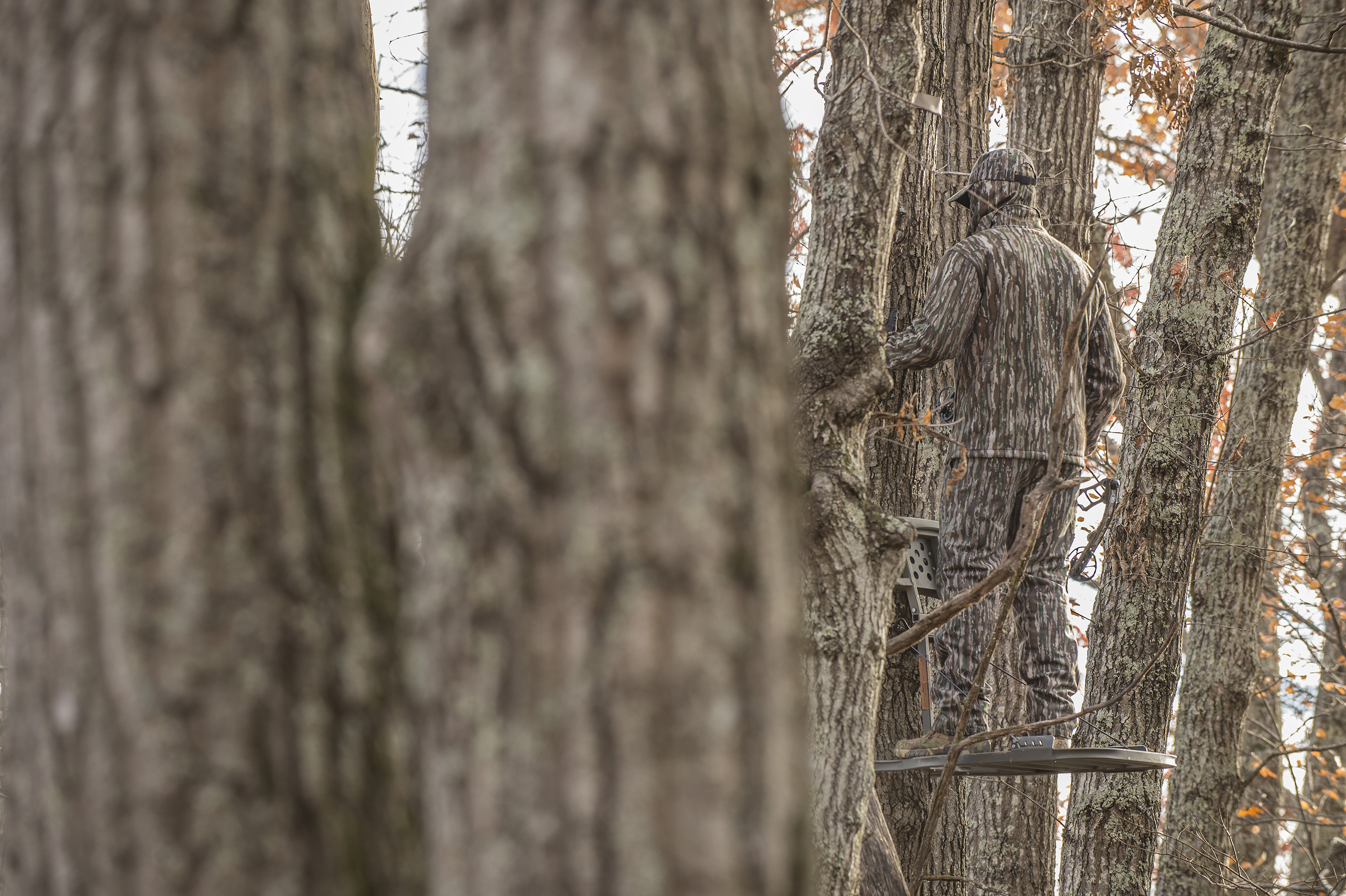 Amazon.com: REALTREE : Realtree Original