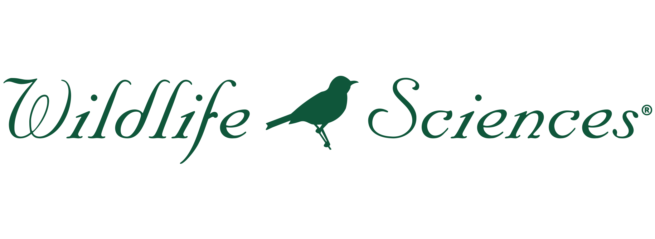 Wildlife Sciences Suet Cakes