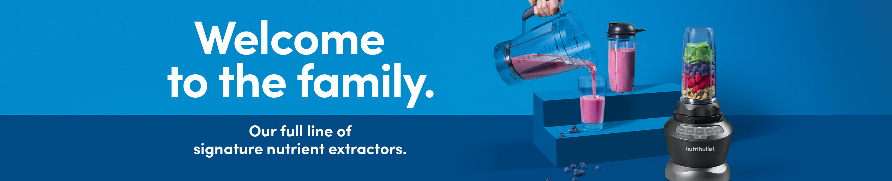 nutribullet® nutribullet® Immersion Blender