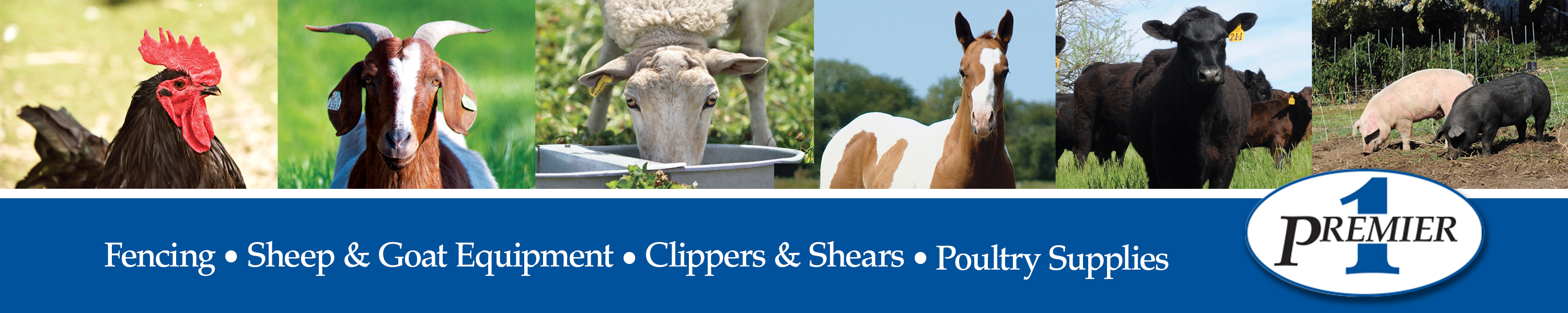 Premier 1 Supplies Home page