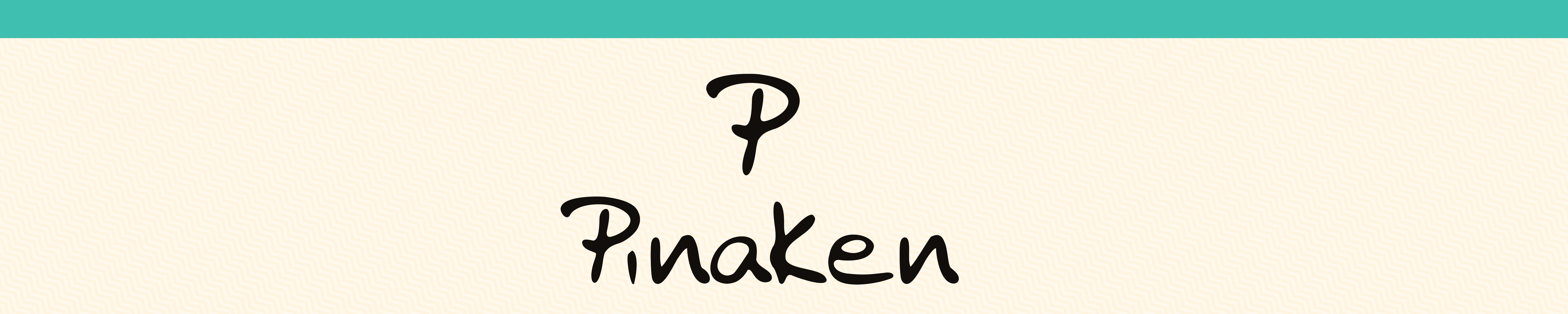 Pinaken Hard Case Cover Notebooks (A5)