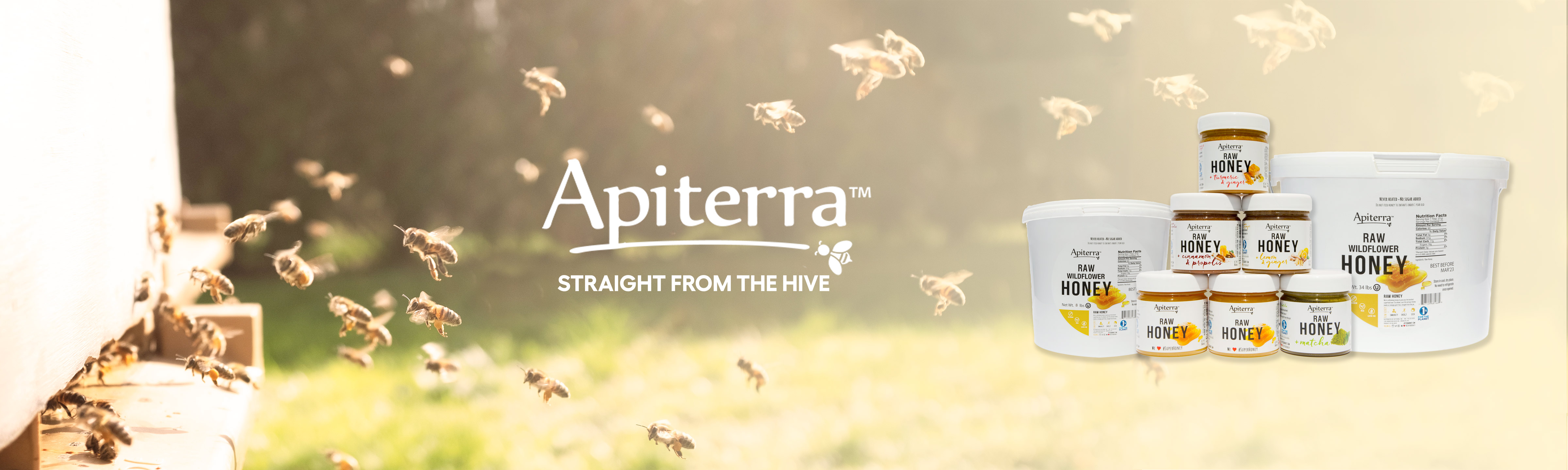 Amazon.com: ApiTerra: Pure Raw Honey