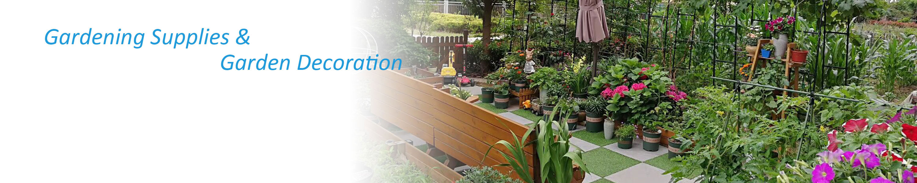 Amazon.co.uk Gardening Will