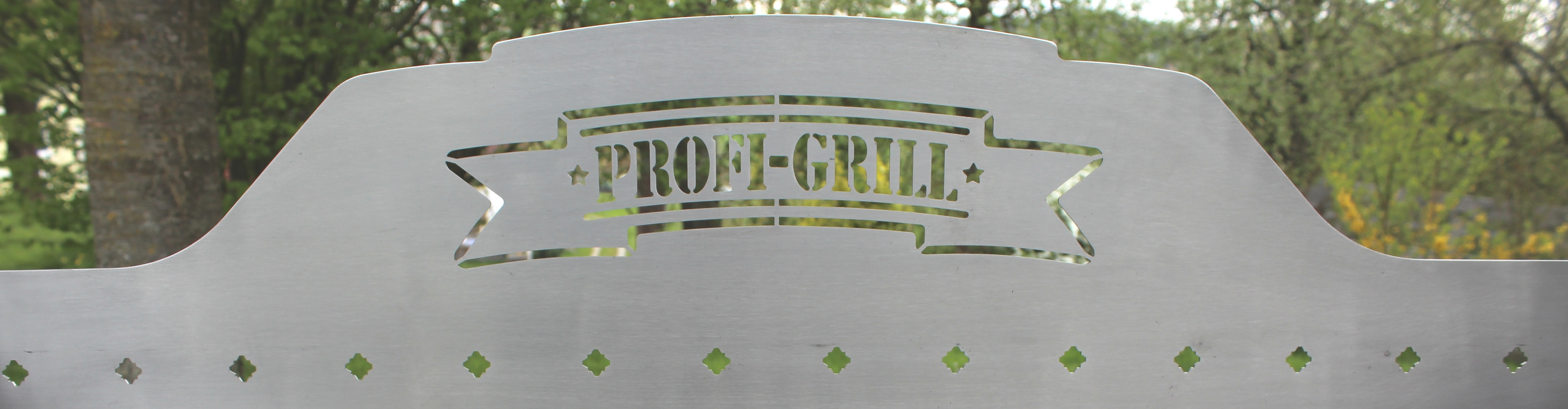 Amazon.de: Profi-Grill