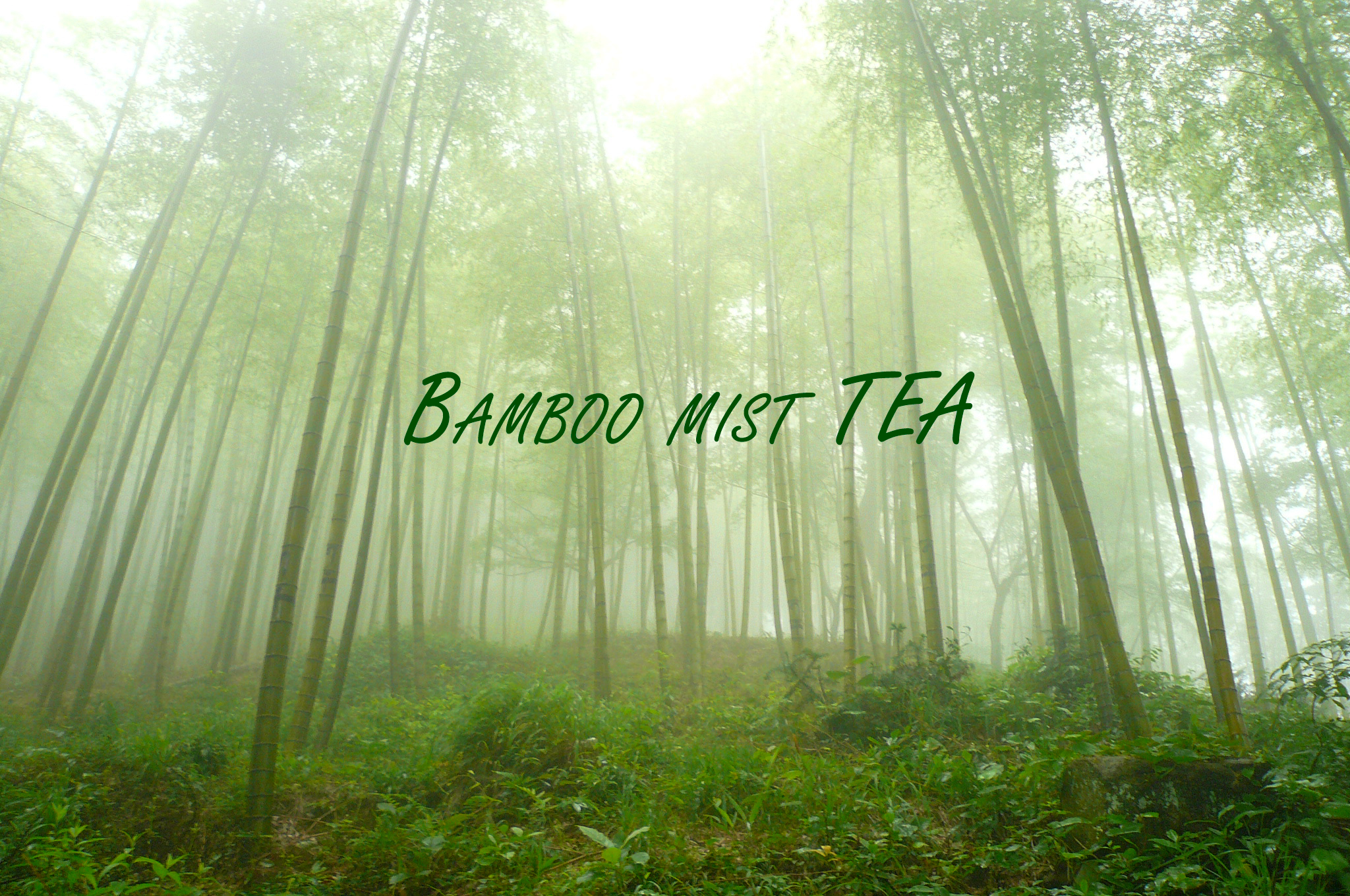 Tea Mist Amazon.com: Bamboo Mist Tea