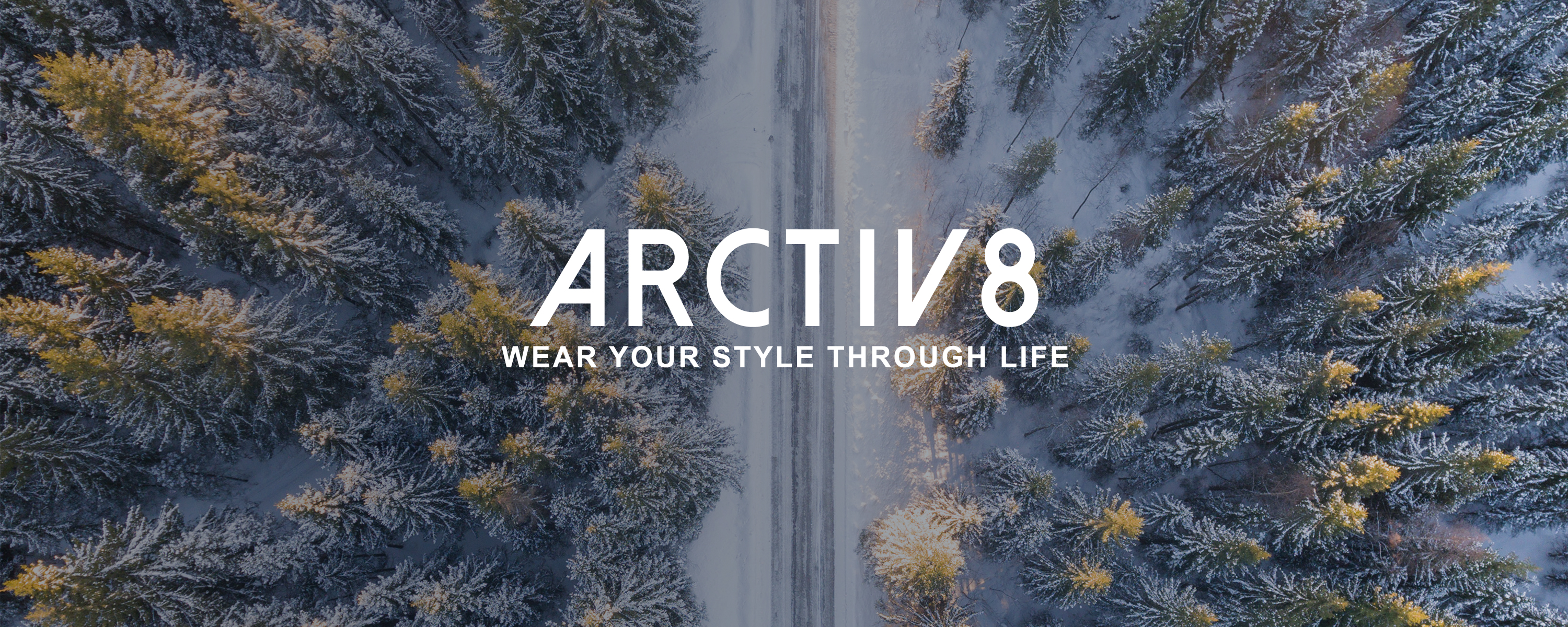 arctiv8 website
