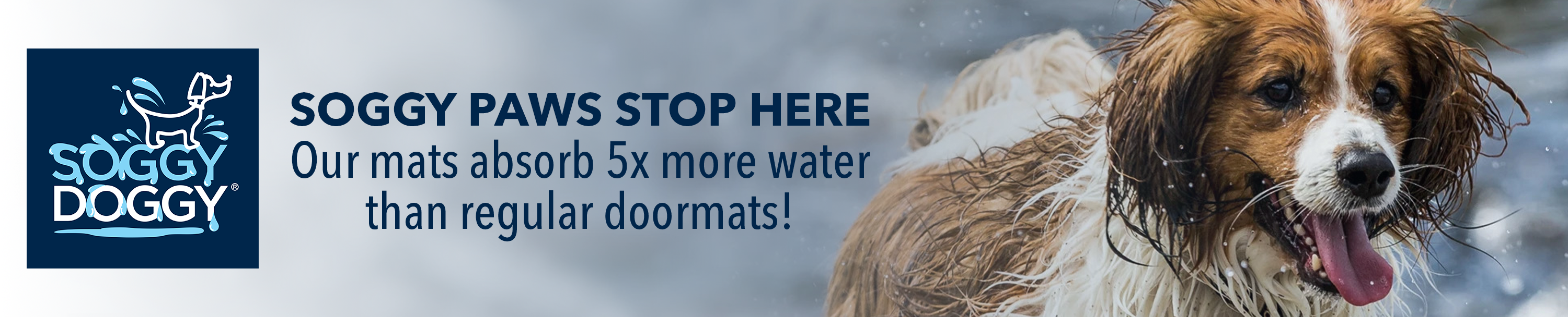 Soggy Doggy Doormat