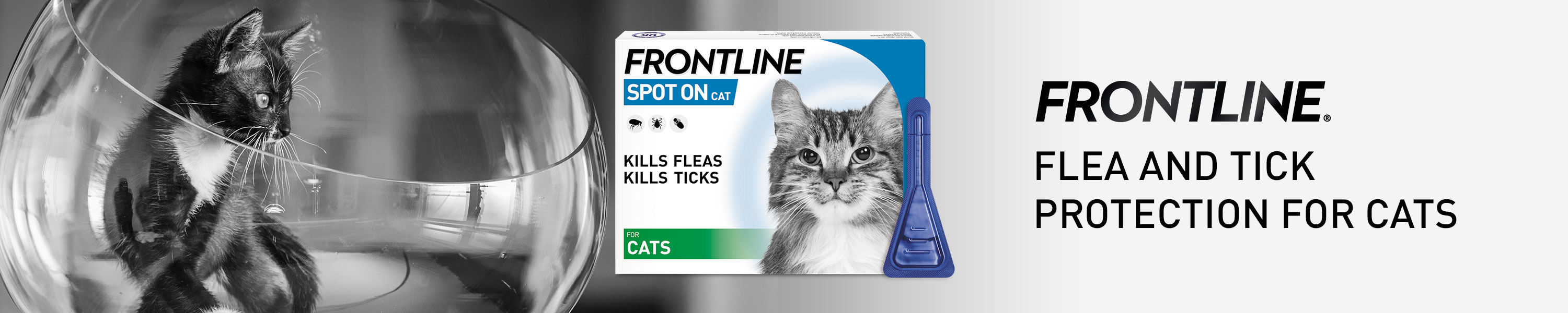 frontline plus for cats amazon uk