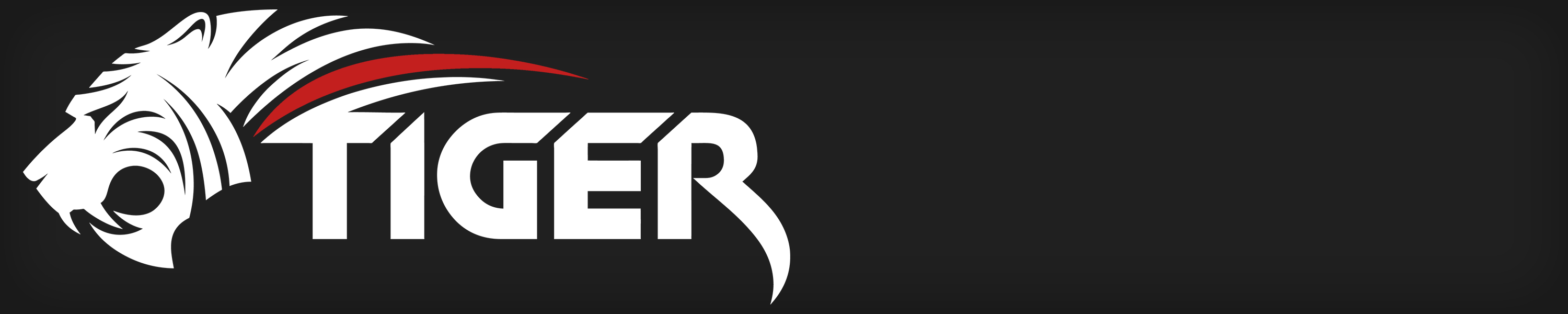 Amazon.de TIGER Guitar Bags