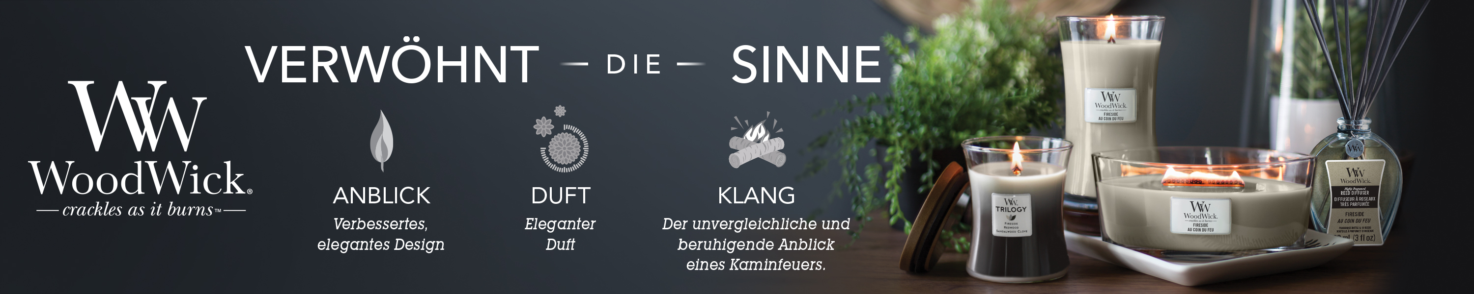 Amazon.de: WoodWick