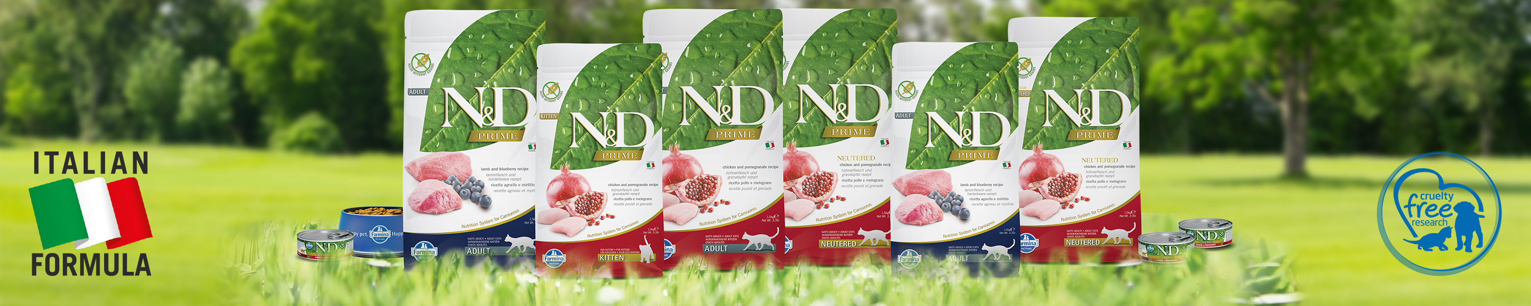 Amazon.in Farmina Pet Foods Kitten Formula