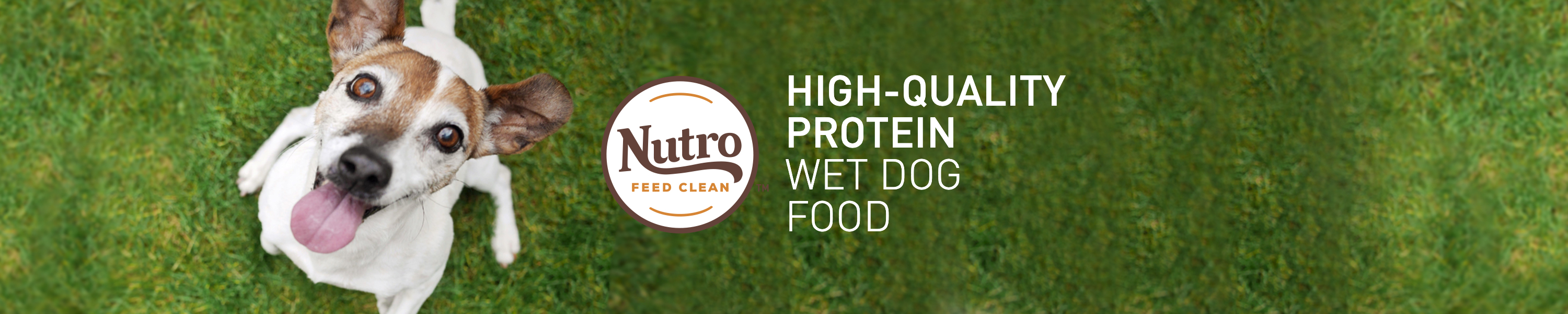 Amazon.ca NUTRO WET DOG FOOD