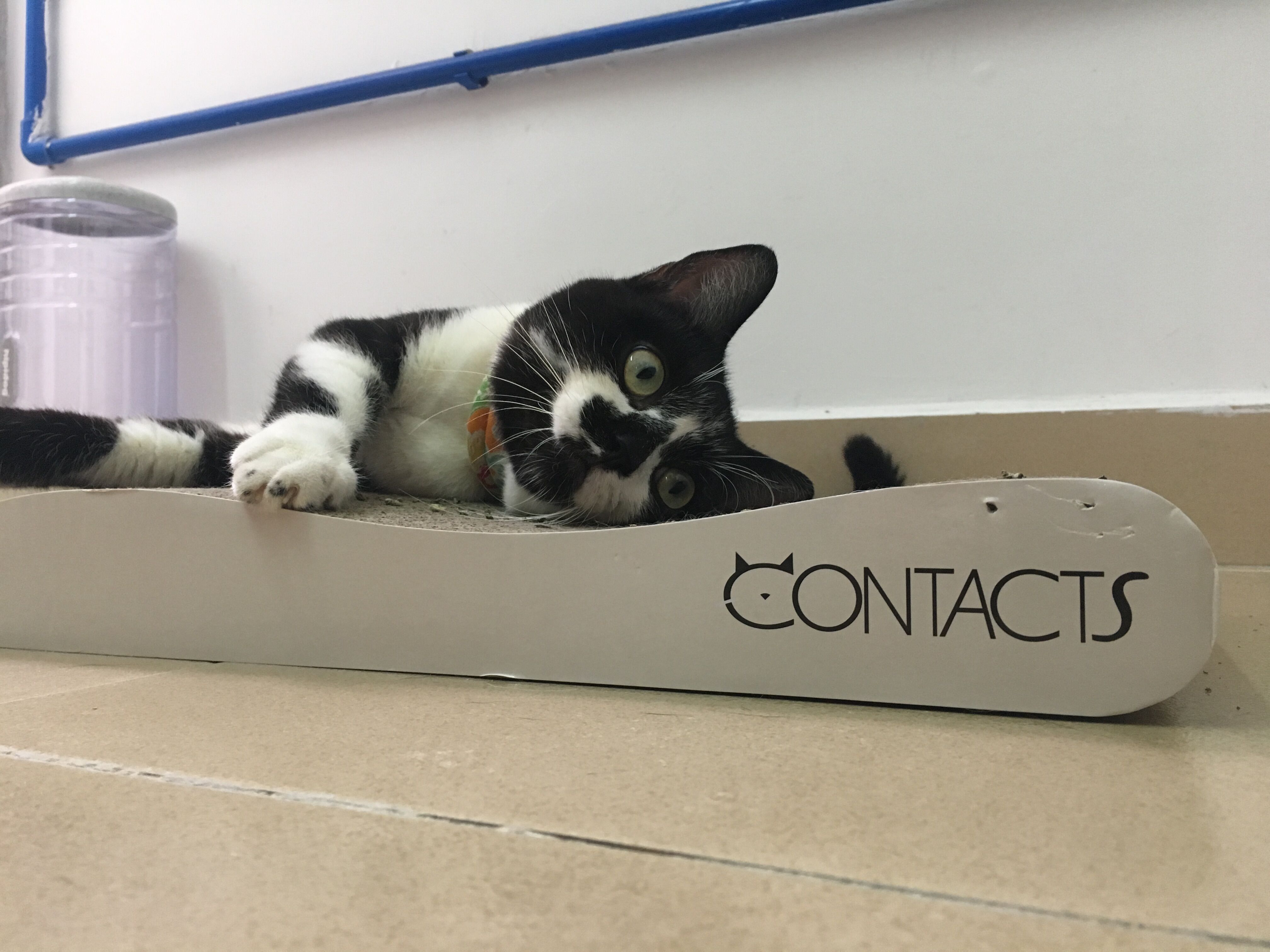 CONTACTS Apparel & Accessories