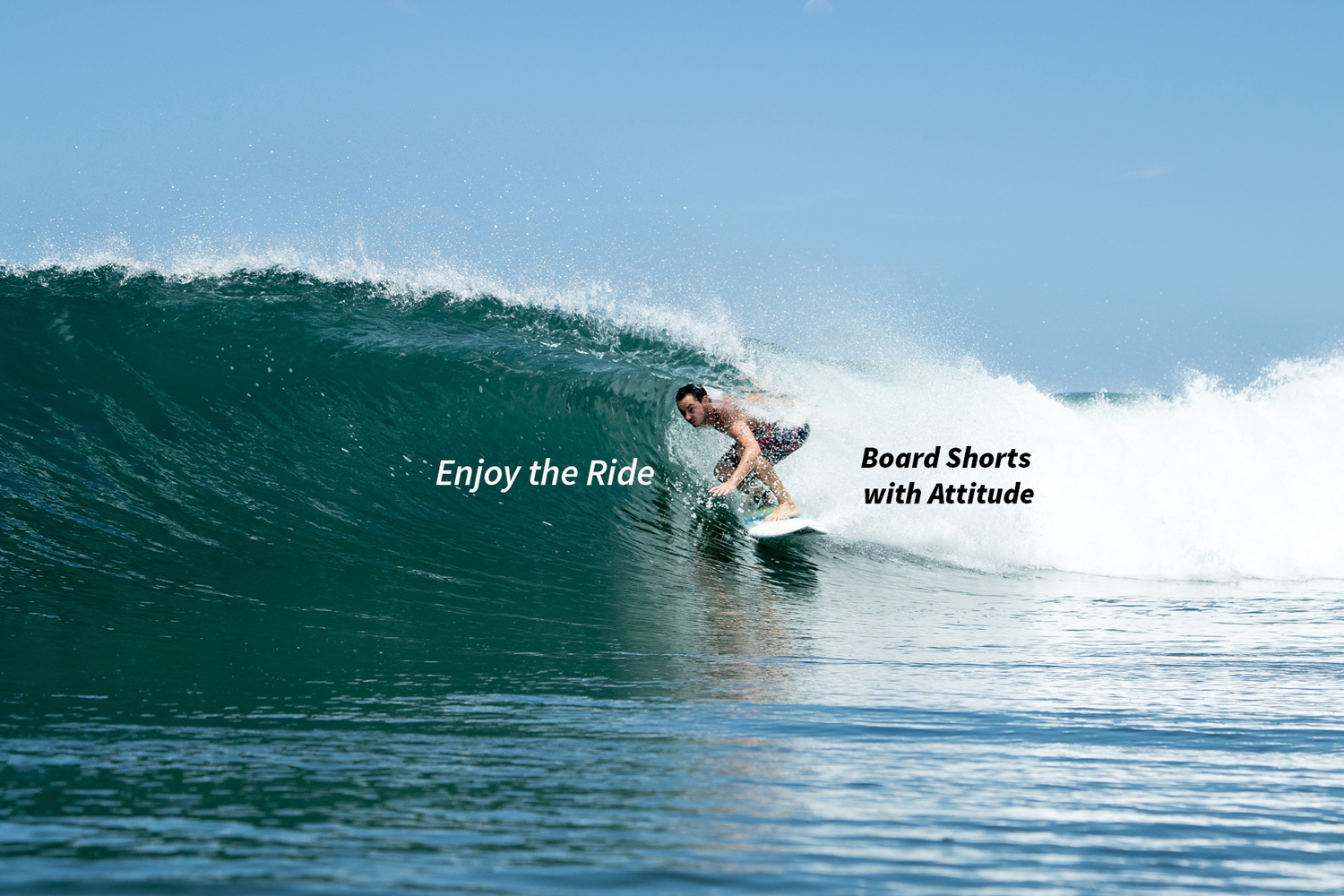 Hawaiian Island Creations (HIC)