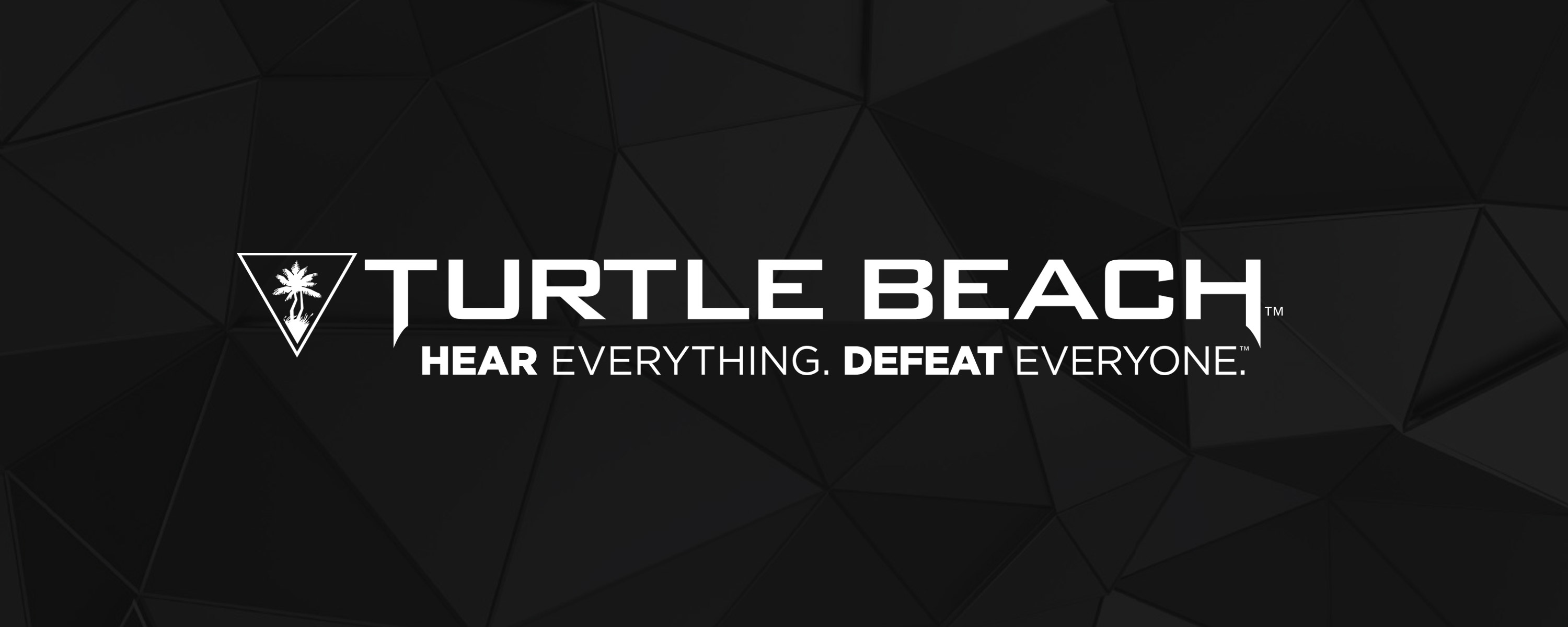 Amazon.fr Turtle beach Offres Presentées