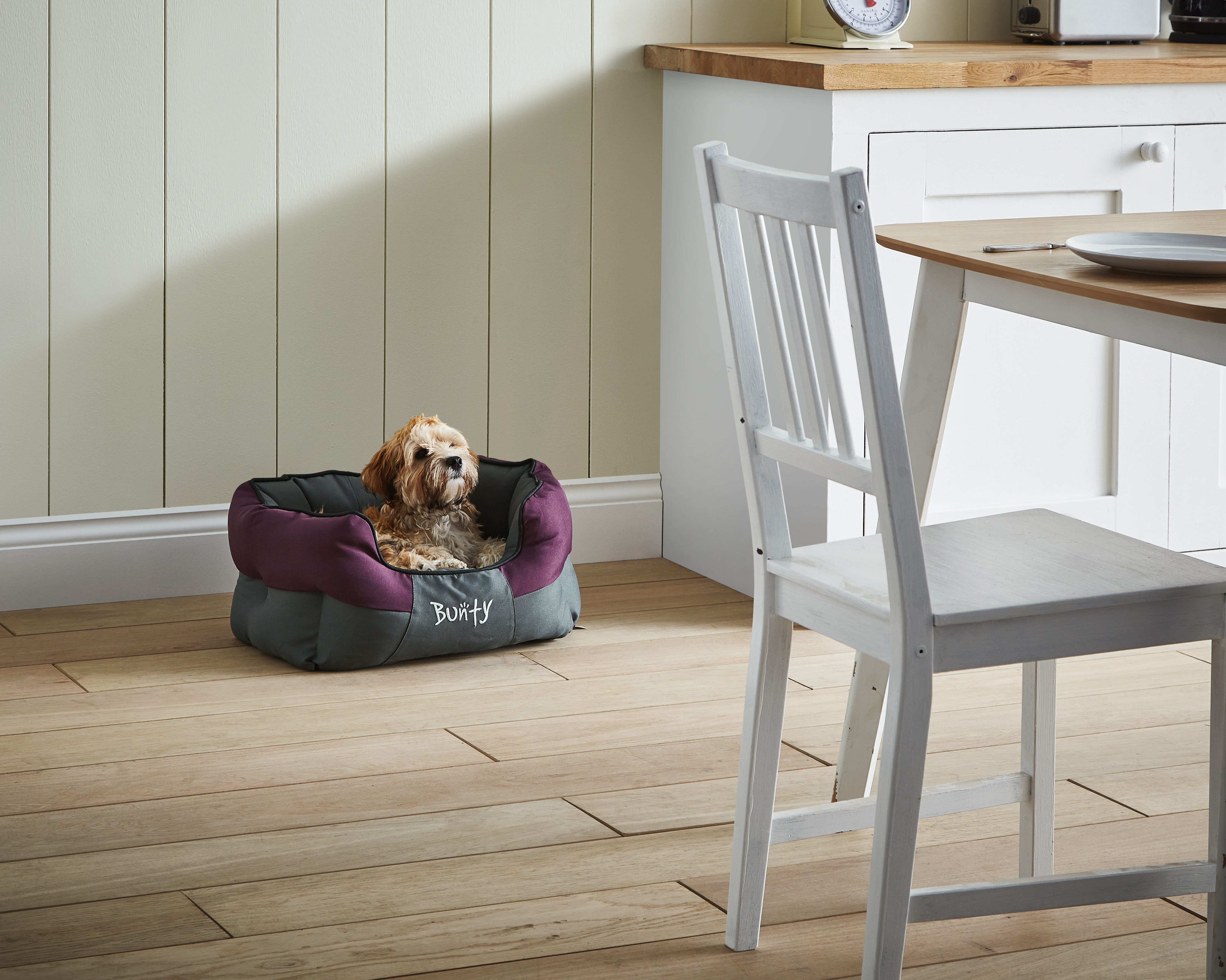 Amazon.co.uk Bunty Pet Products Dogs