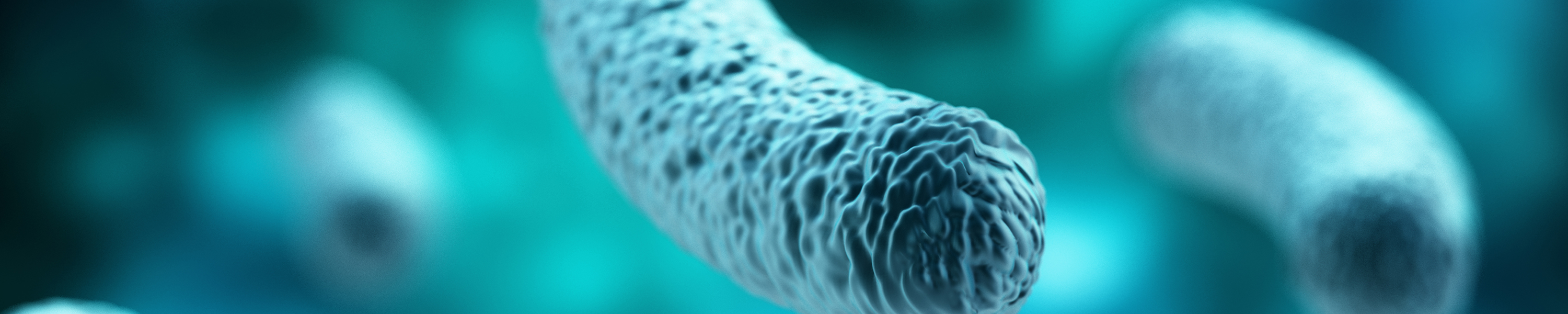 Amazon.es: Flowbiotic