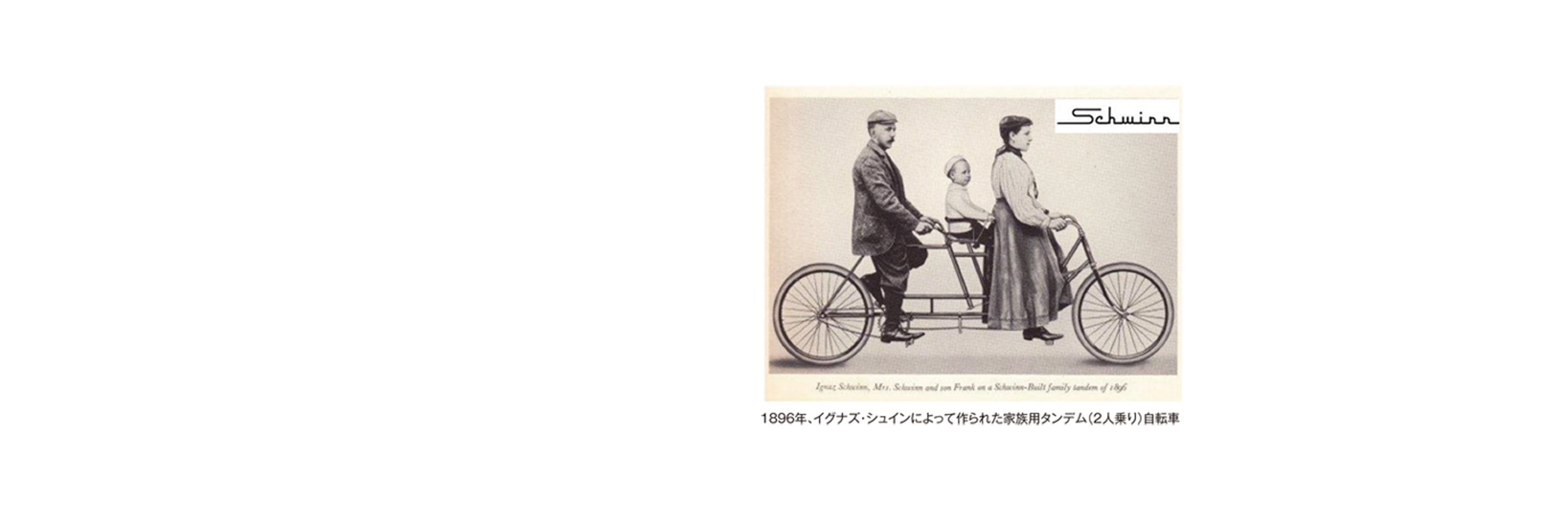 Amazon.co.jp: SCHWINN（シュイン）