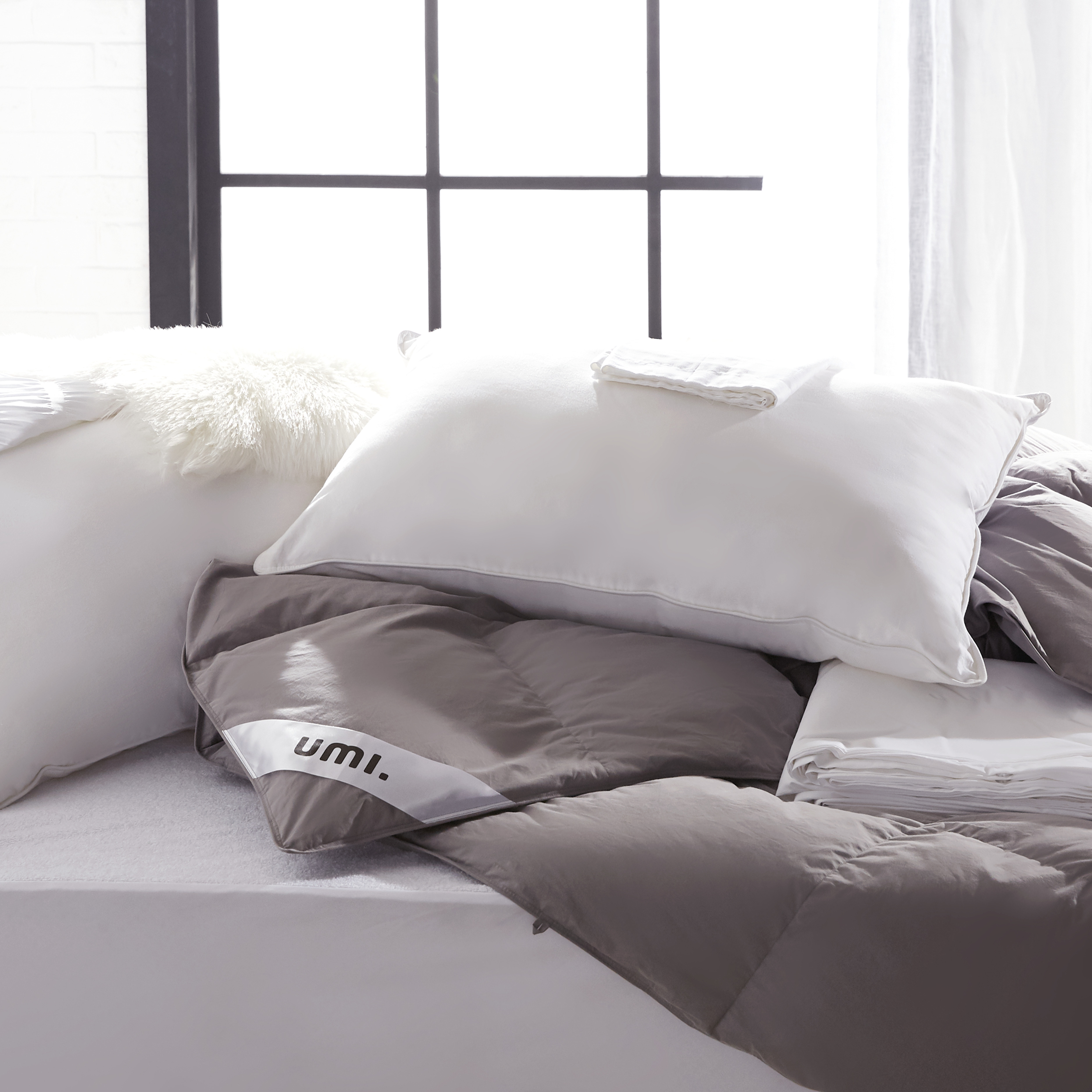 Amazon.co.jp: Umi(ウミ)