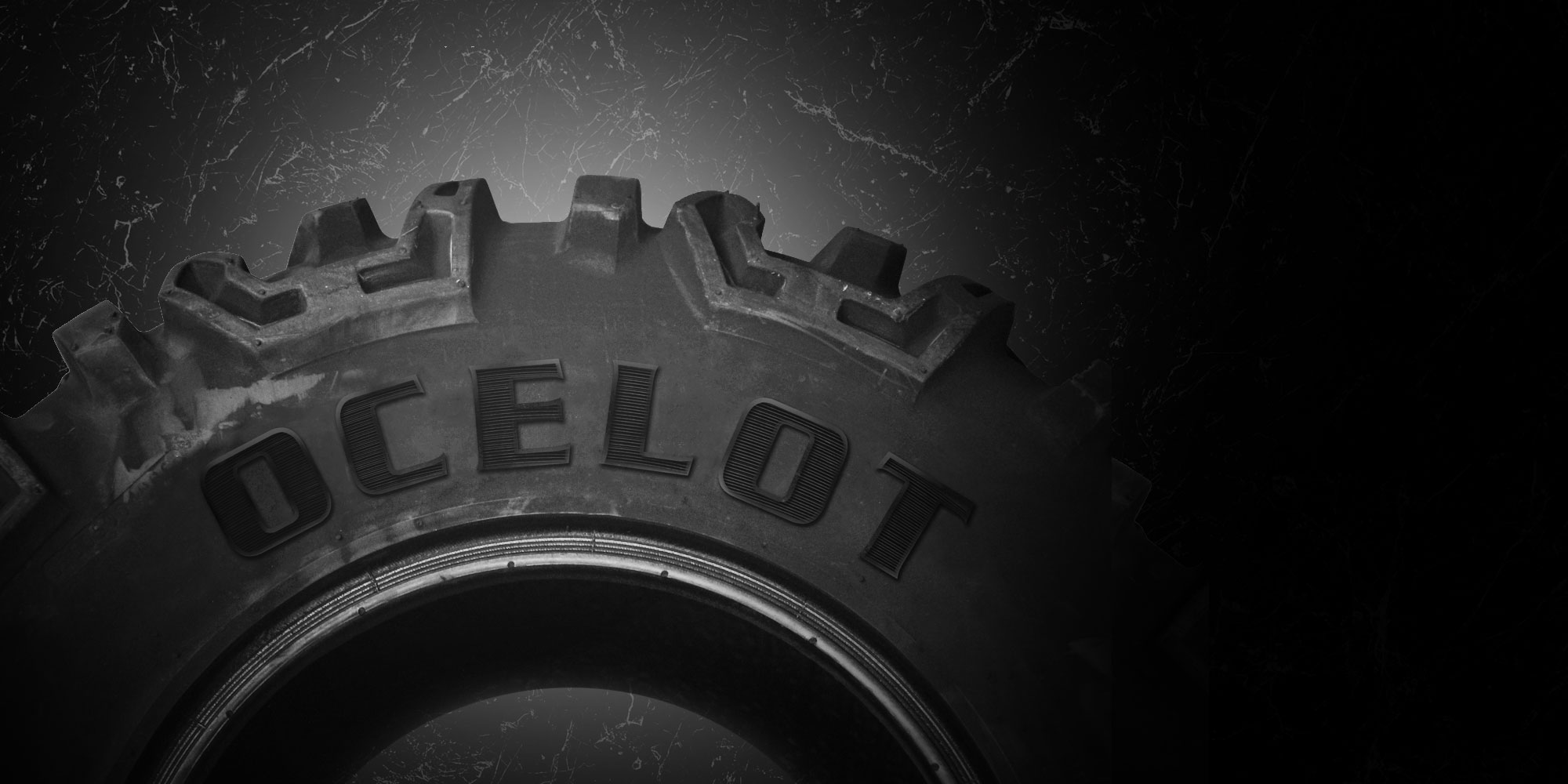 Amazon.com: Ocelot Racing