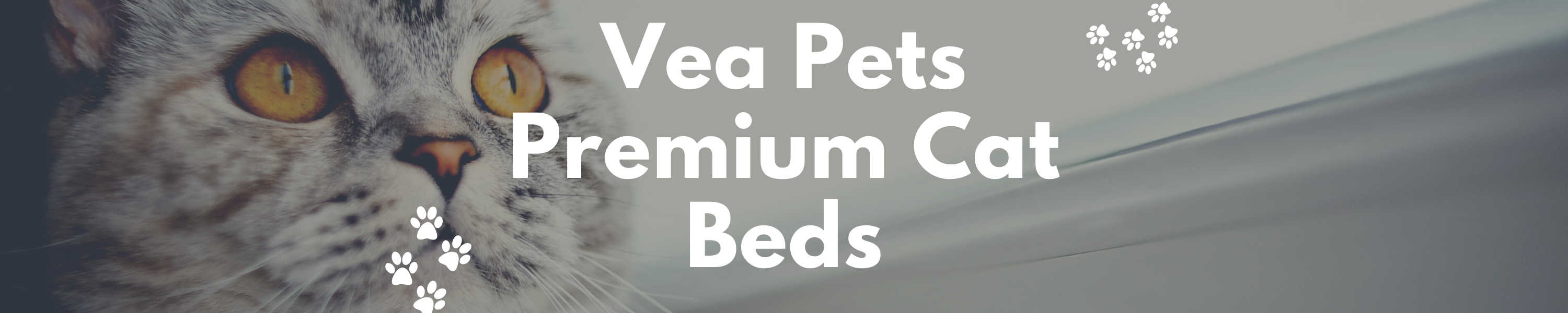 Vea Pets Amazon.com: Vea pets