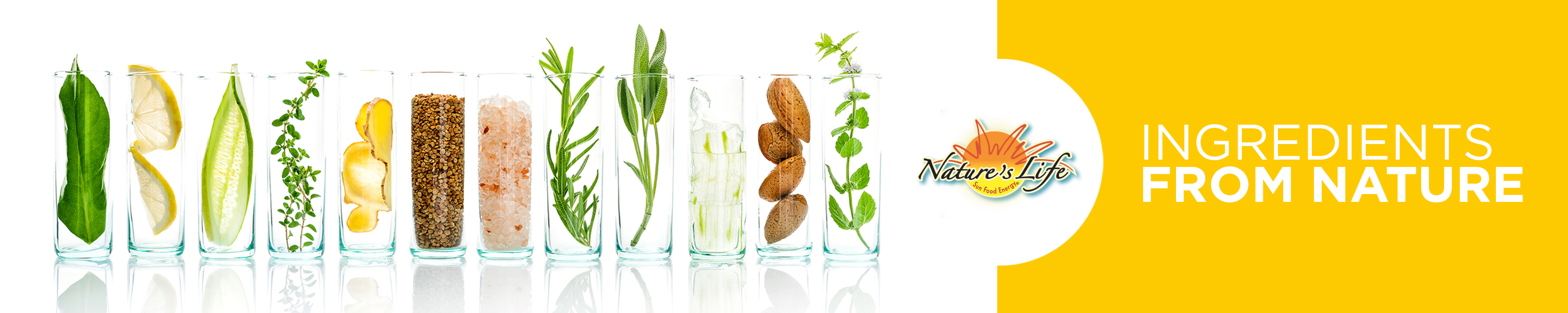 Nature's Life Supplements