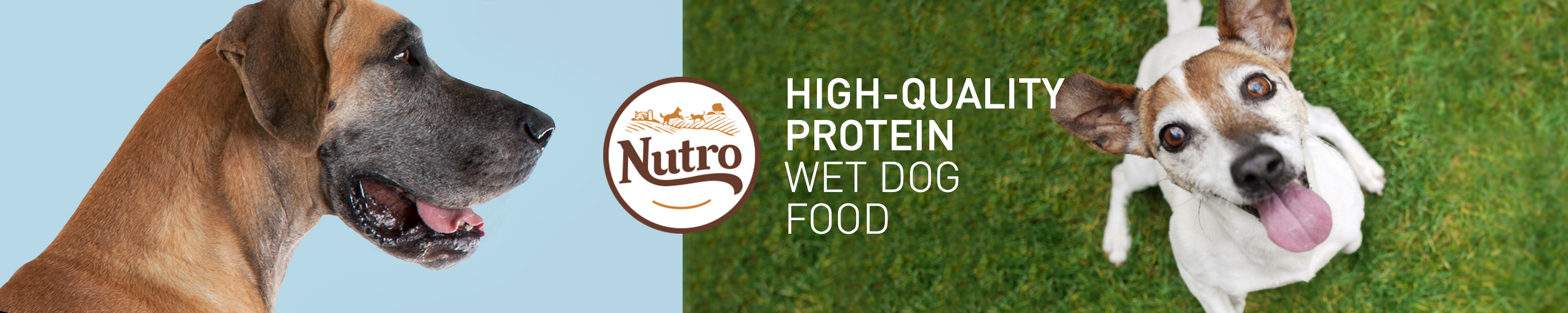 Nutro Wet Dog Food