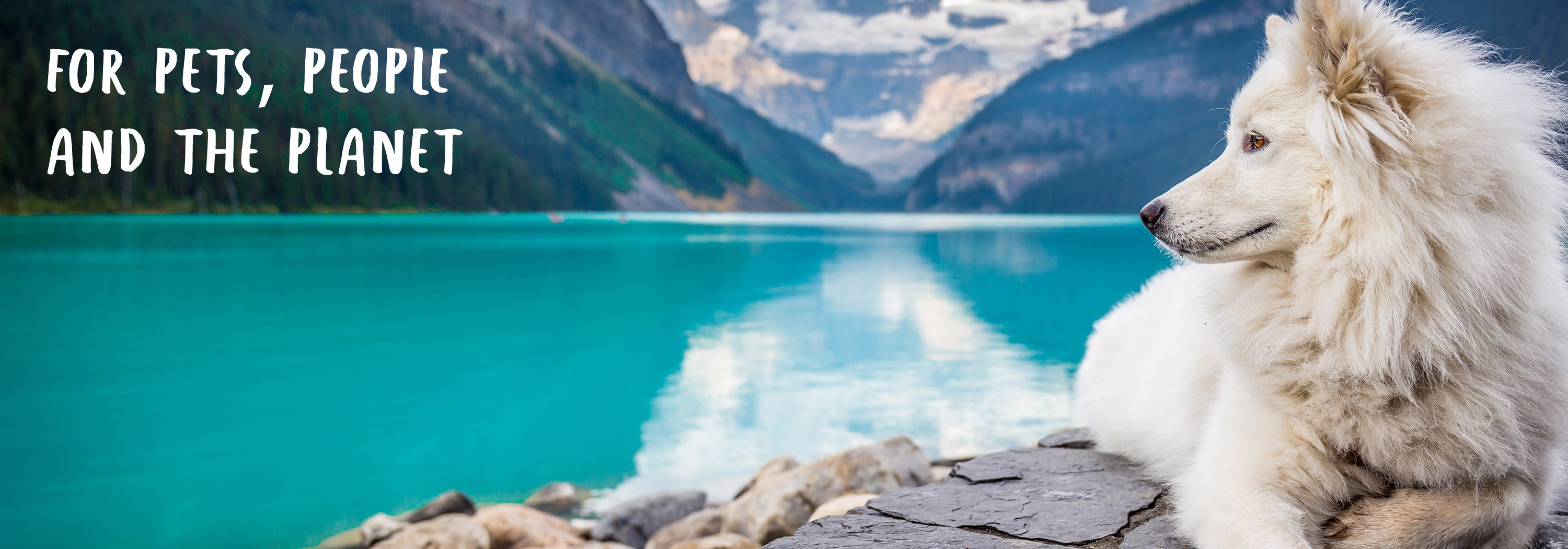 Amazon.co.uk Project Blu Nest Beds