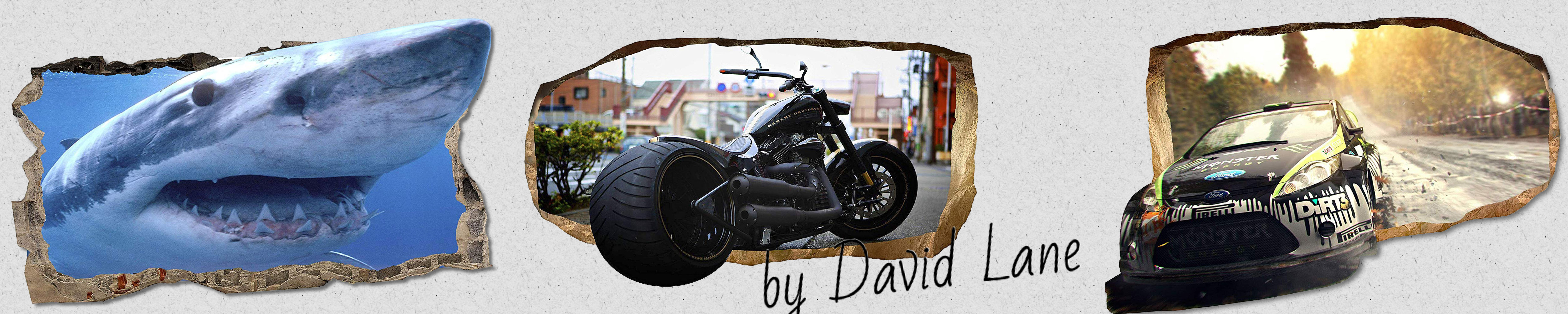 Amazon.de Startonight 3D Mural Nature