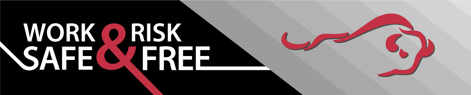 Amazon.com: SAFE HANDLER: Aprons