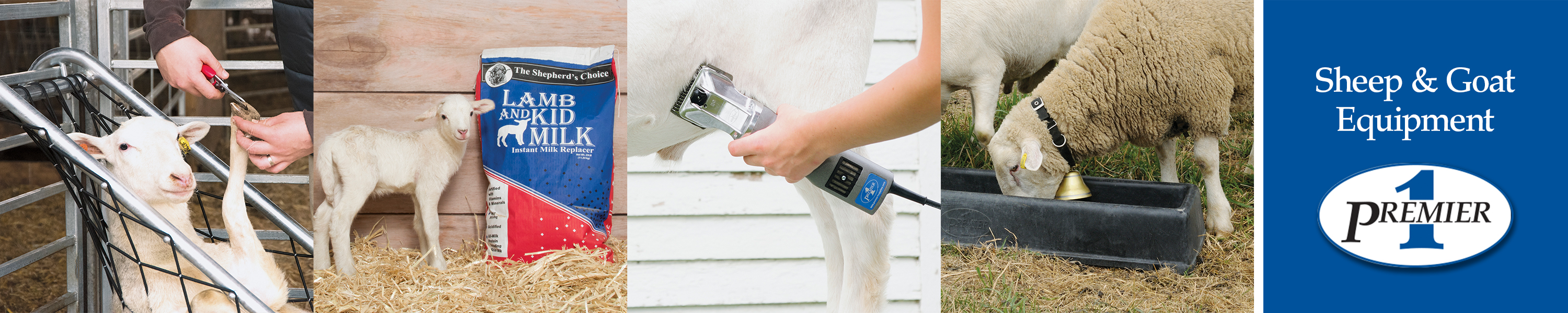 Premier 1 Supplies Sheep and Goat Equipment