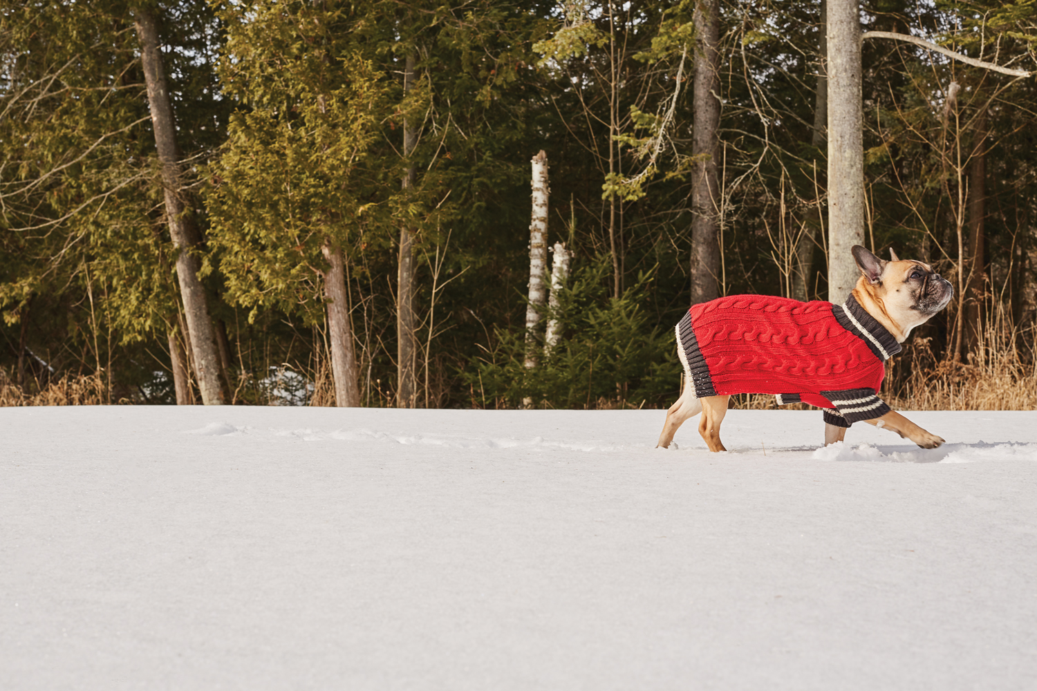 99c658e2a10c0c672f8a839e3297da5d