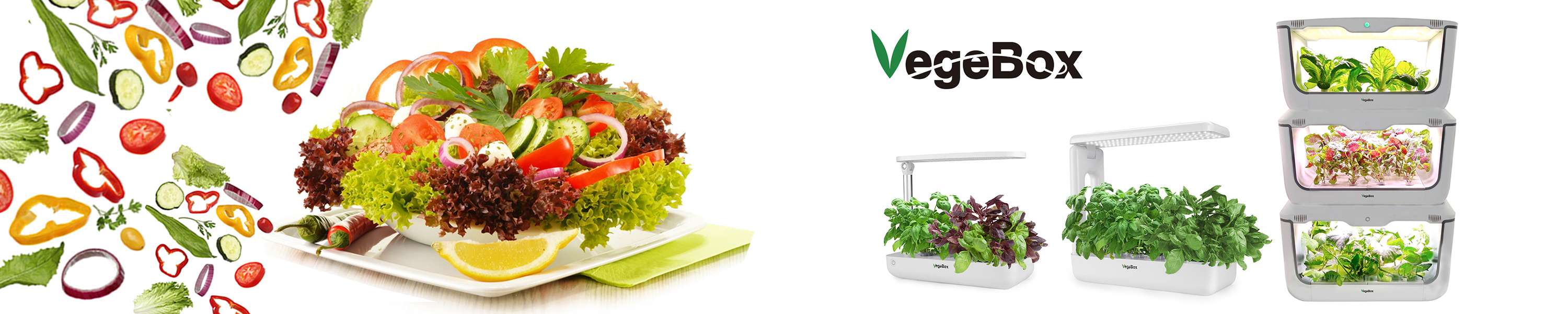 Amazon.co.uk: VegeBox