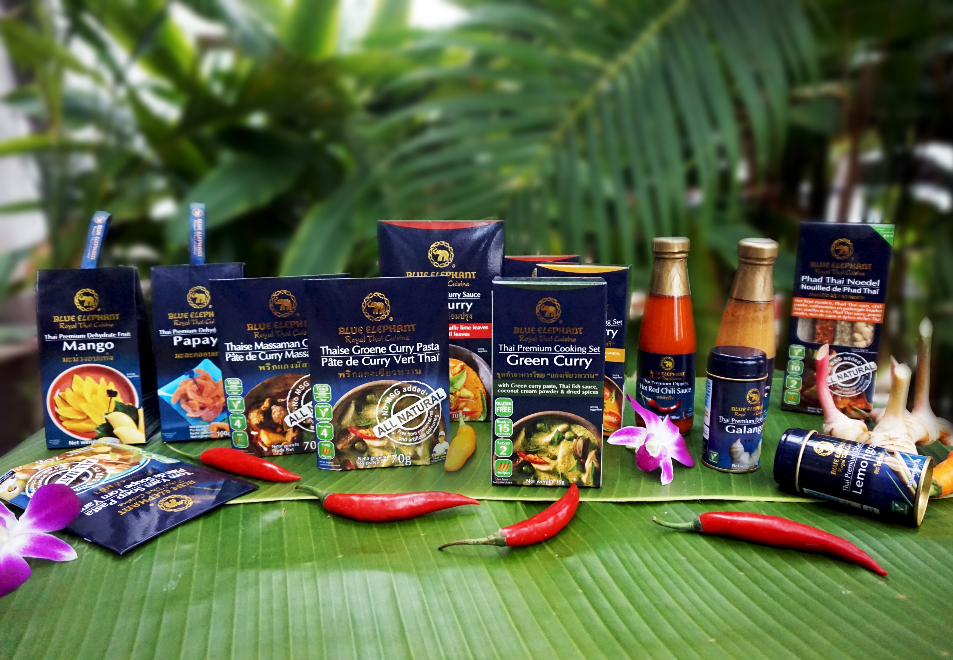 Amazon.in Blue Elephant