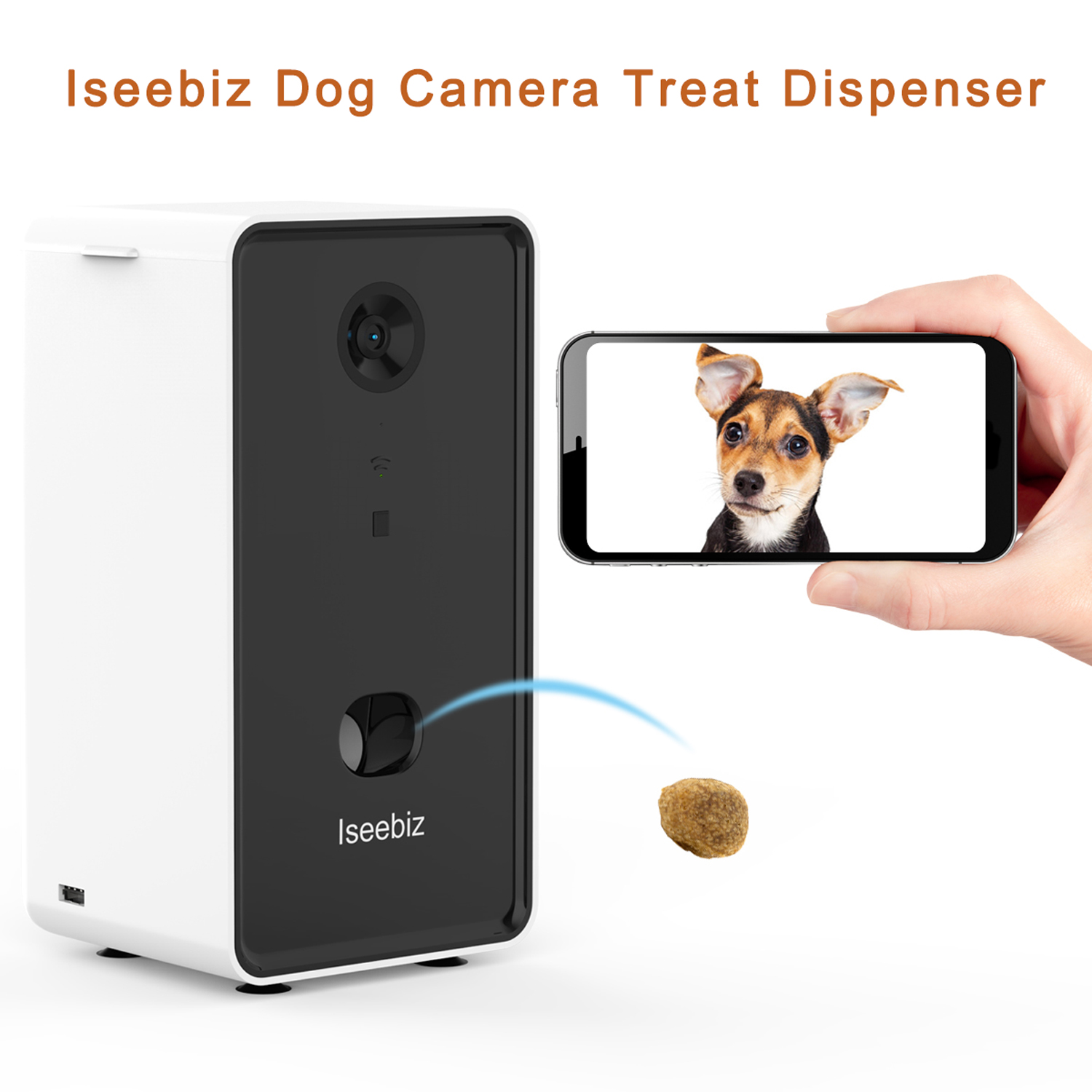 Amazon.com: Iseebiz