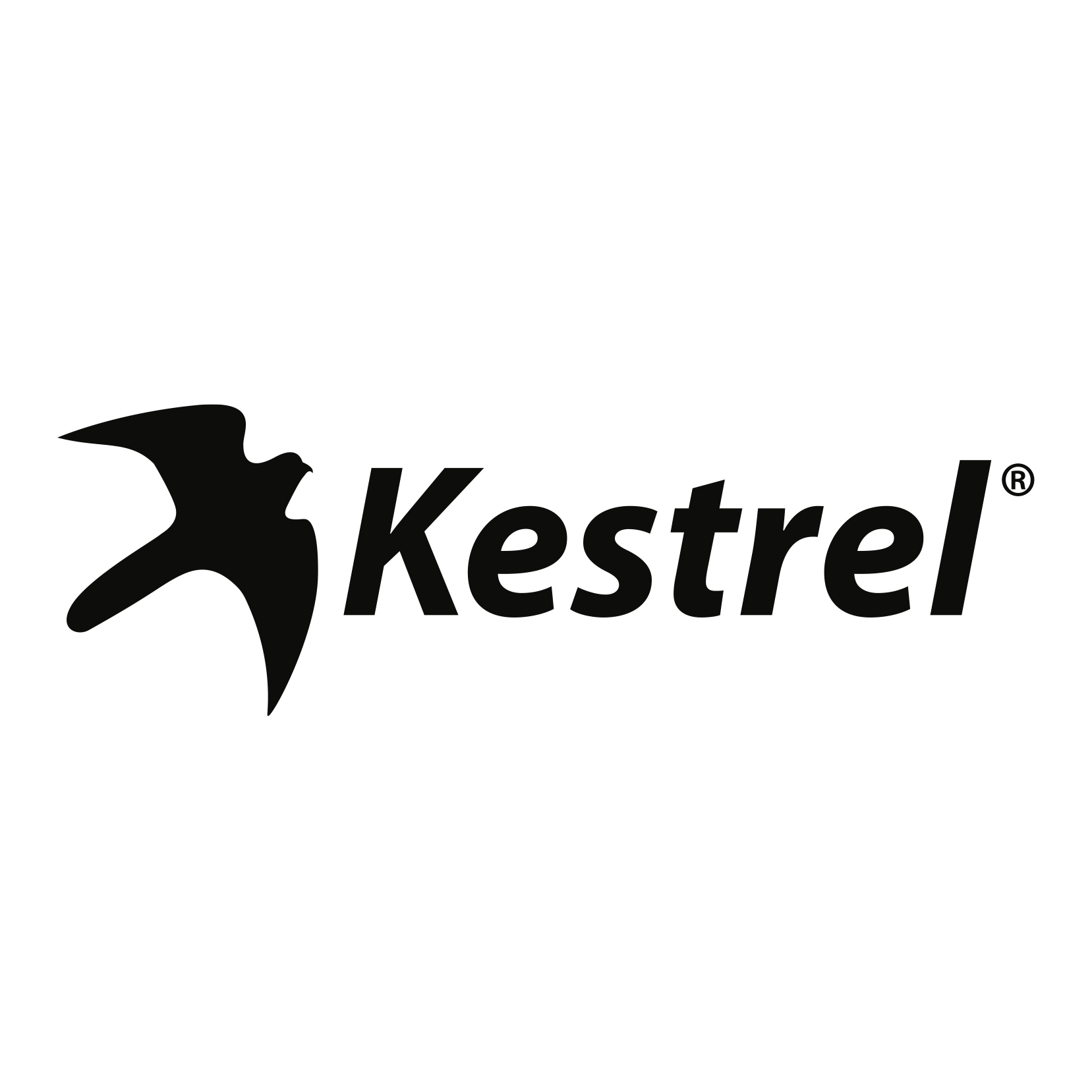 Kestrel Tactical MOLLE-Compatible Case For 4000 & 5000 Models