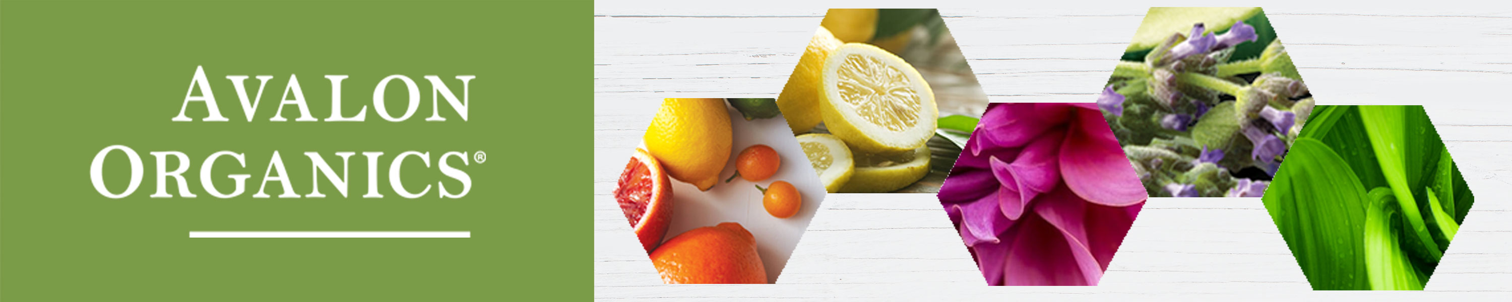 Amazon.com: Avalon: Skin Care