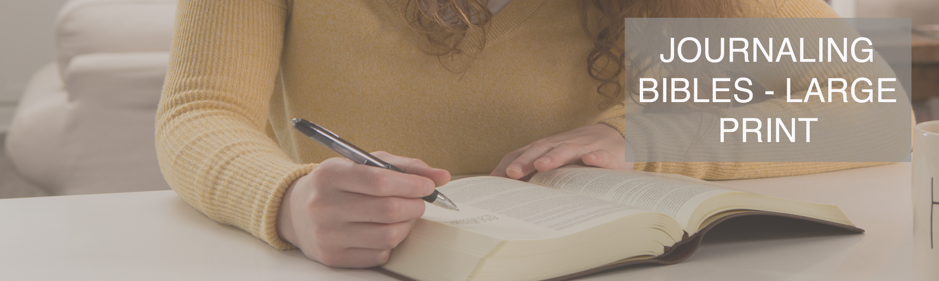 King James Version Bibles Journaling