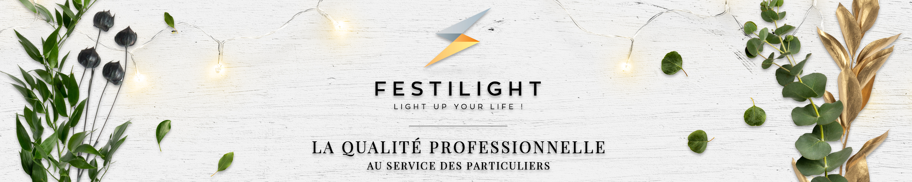 Amazon fr FESTILIGHT Amazon fr FESTILIGHT