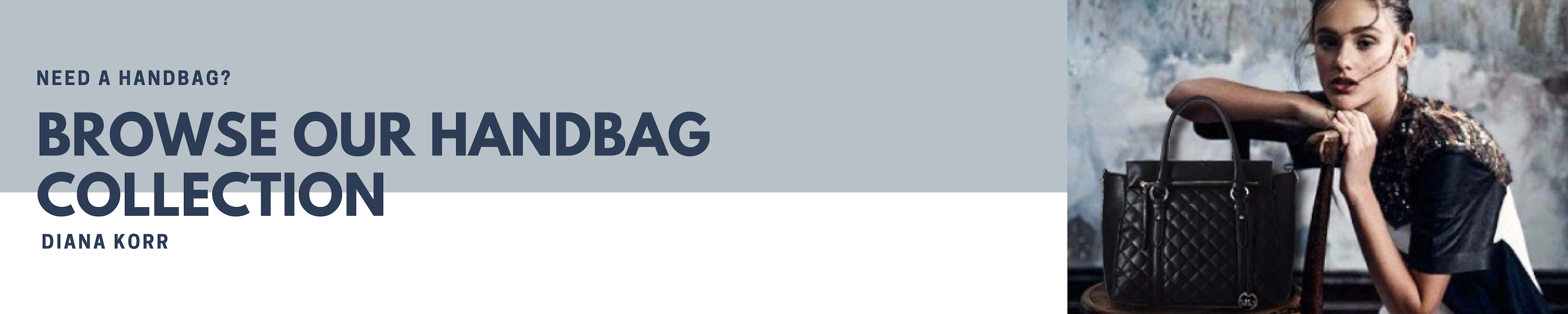 Amazon.in Diana Korr Handbags