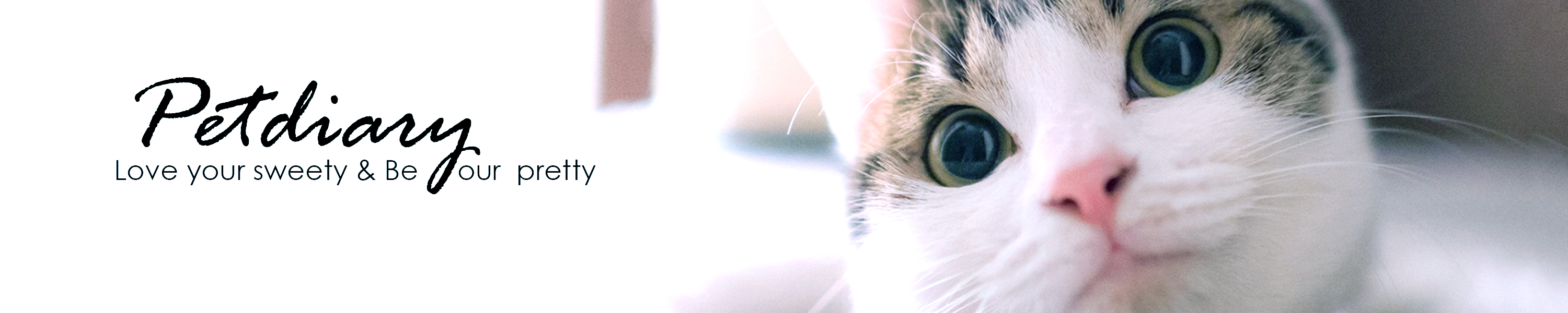 PETDIARY Dog Training collars