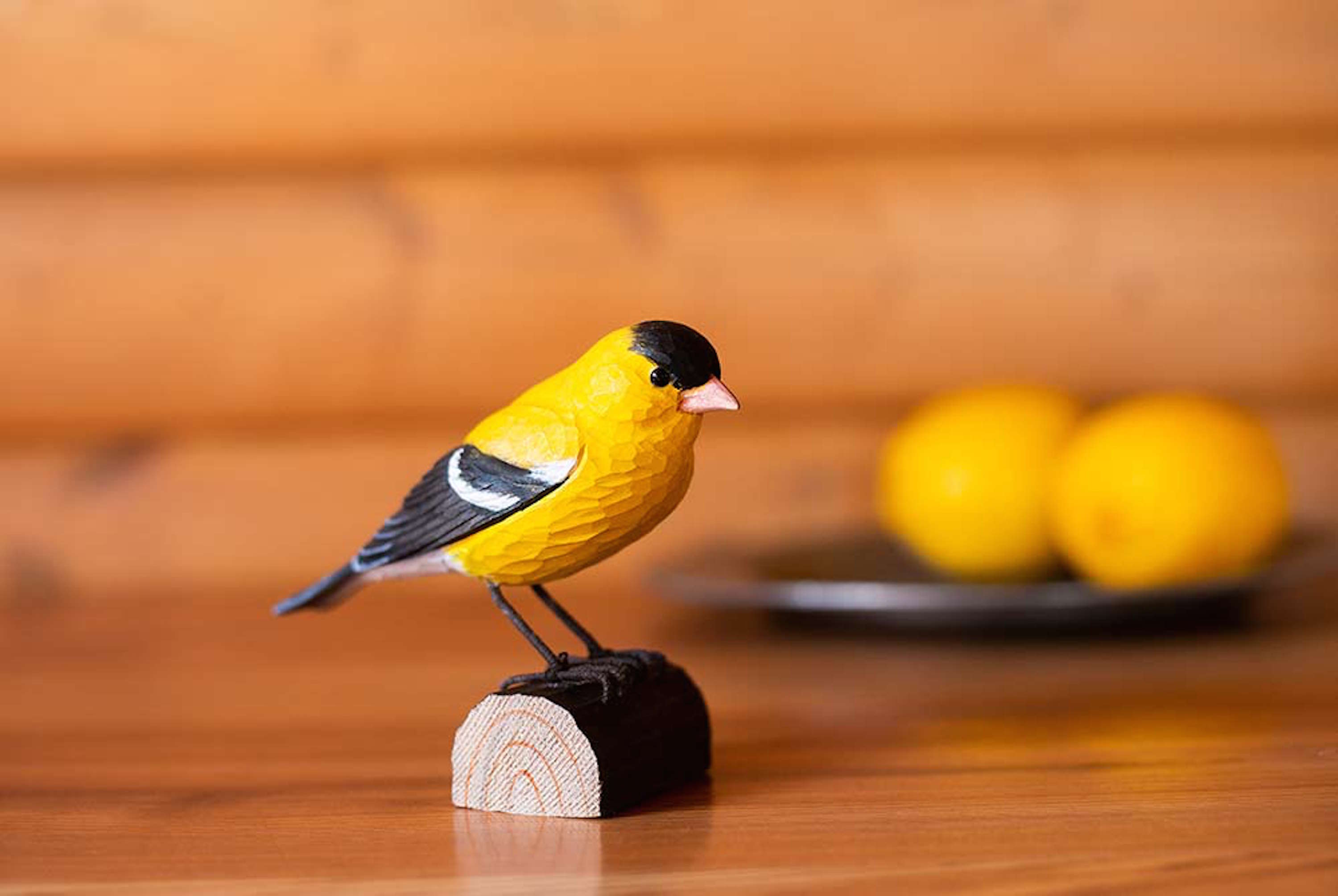 Wildlife Garden Birdhouses and Feeders