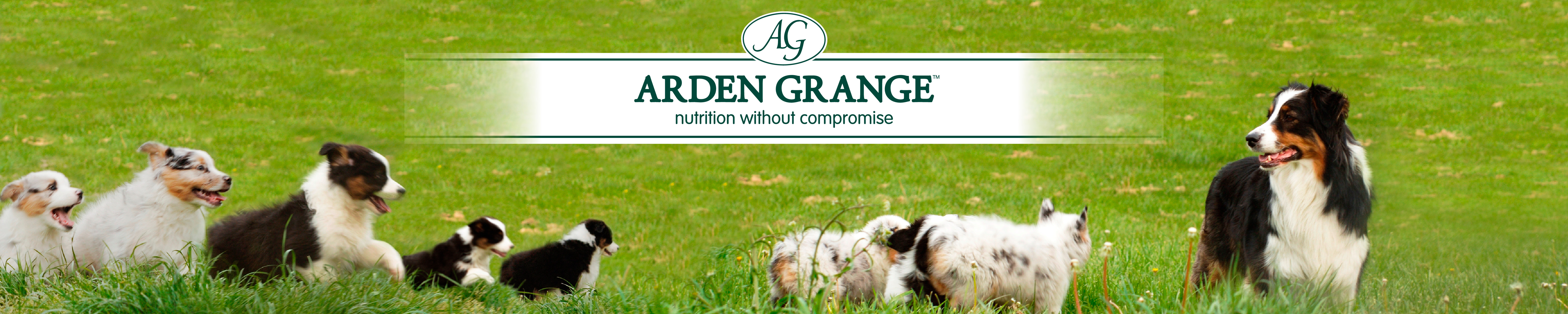 Amazon.in Arden Grange DOG FOOD