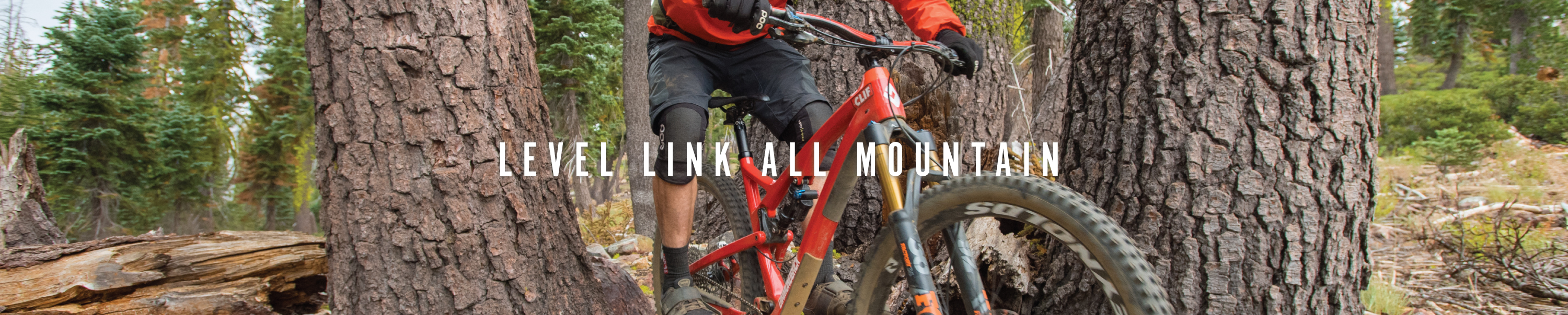 Diamondback LEVEL LINK ALL MOUNTAIN