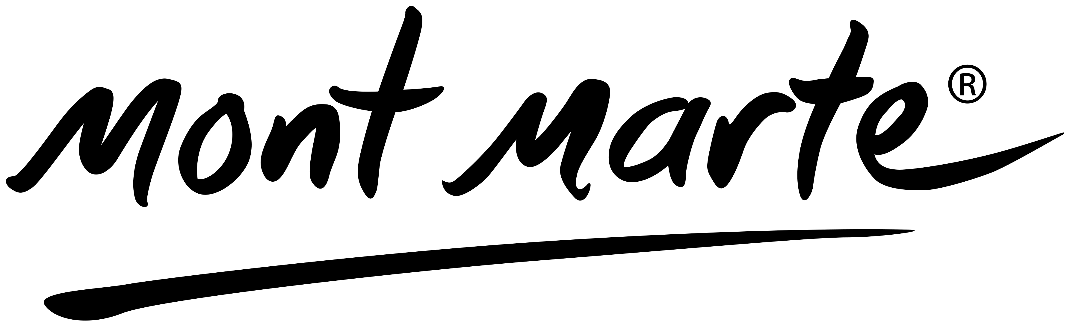 Amazon.com: Mont Marte Amazon.com: Mont Marte