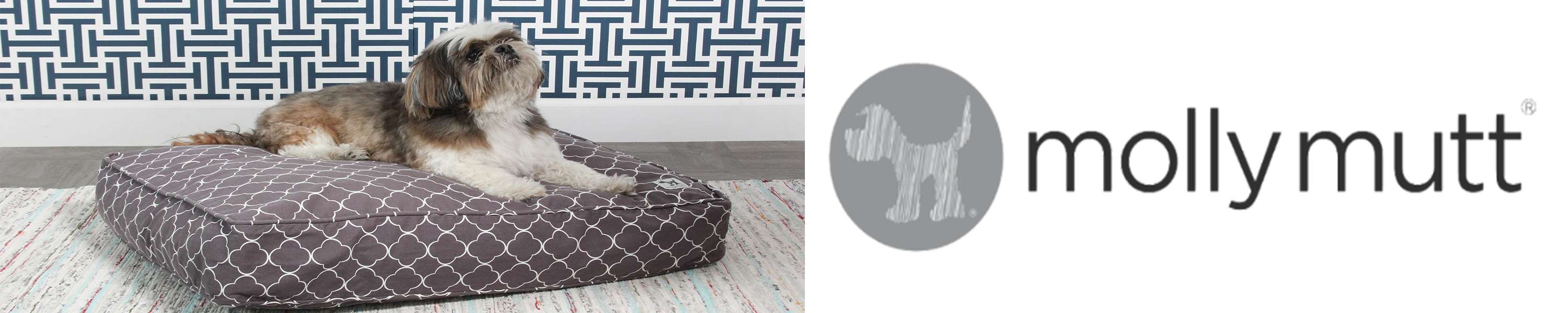 molly mutt