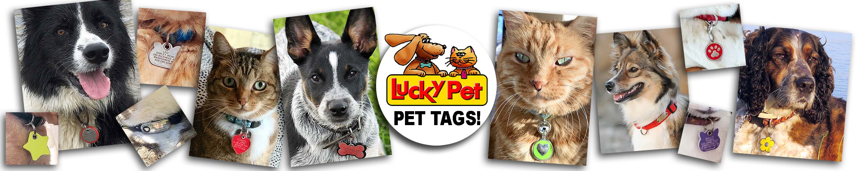 LuckyPet Tiny Jewelry Tags