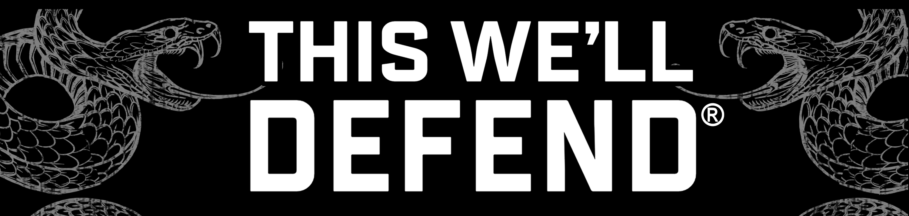 Writerly Sound Bites, Number 14 Saving the World What Does that