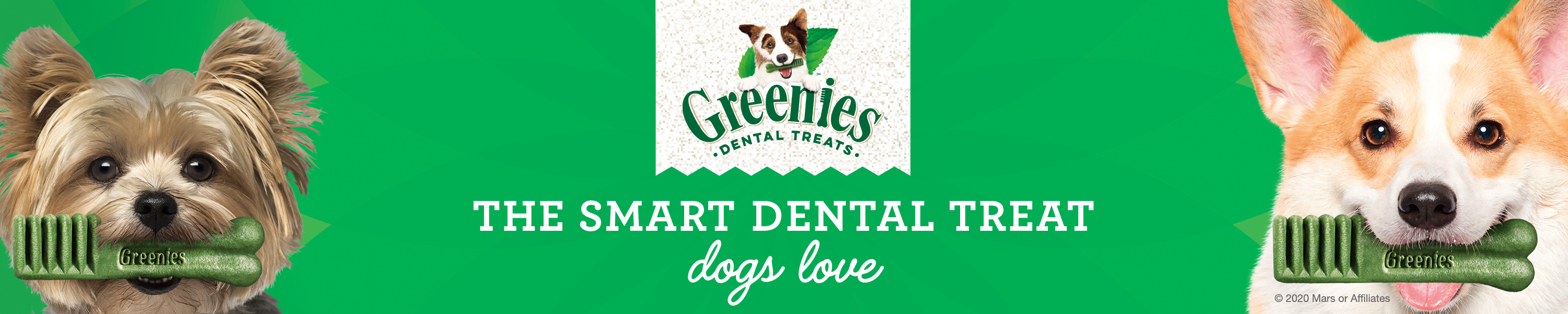 Amazon.co.uk Greenies